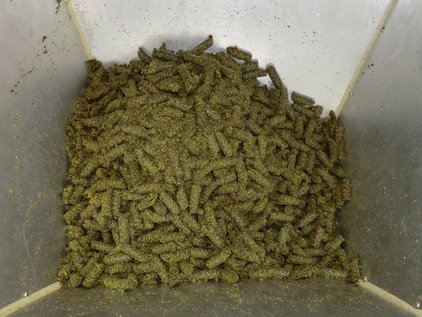 Raps-Presskuchen als Futtermittel für die Milchkühe